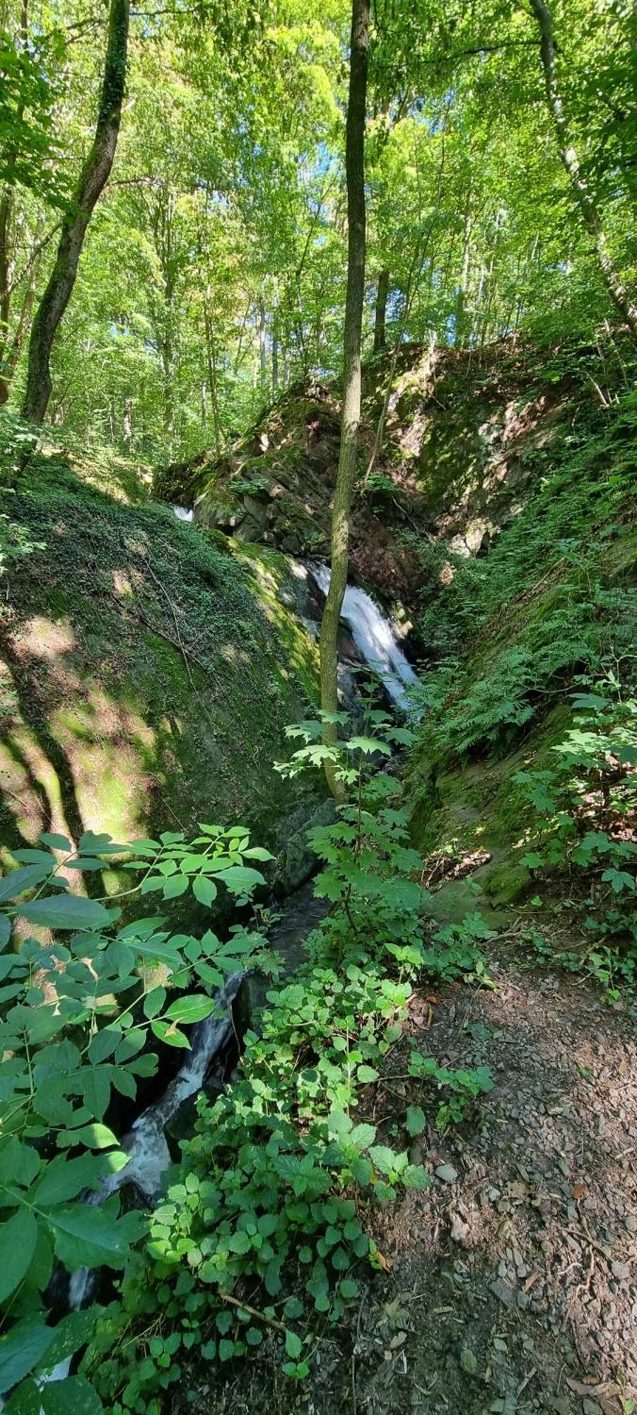 Fewo Zur Alten Tischlerei Herzberg am Harz Exterior foto
