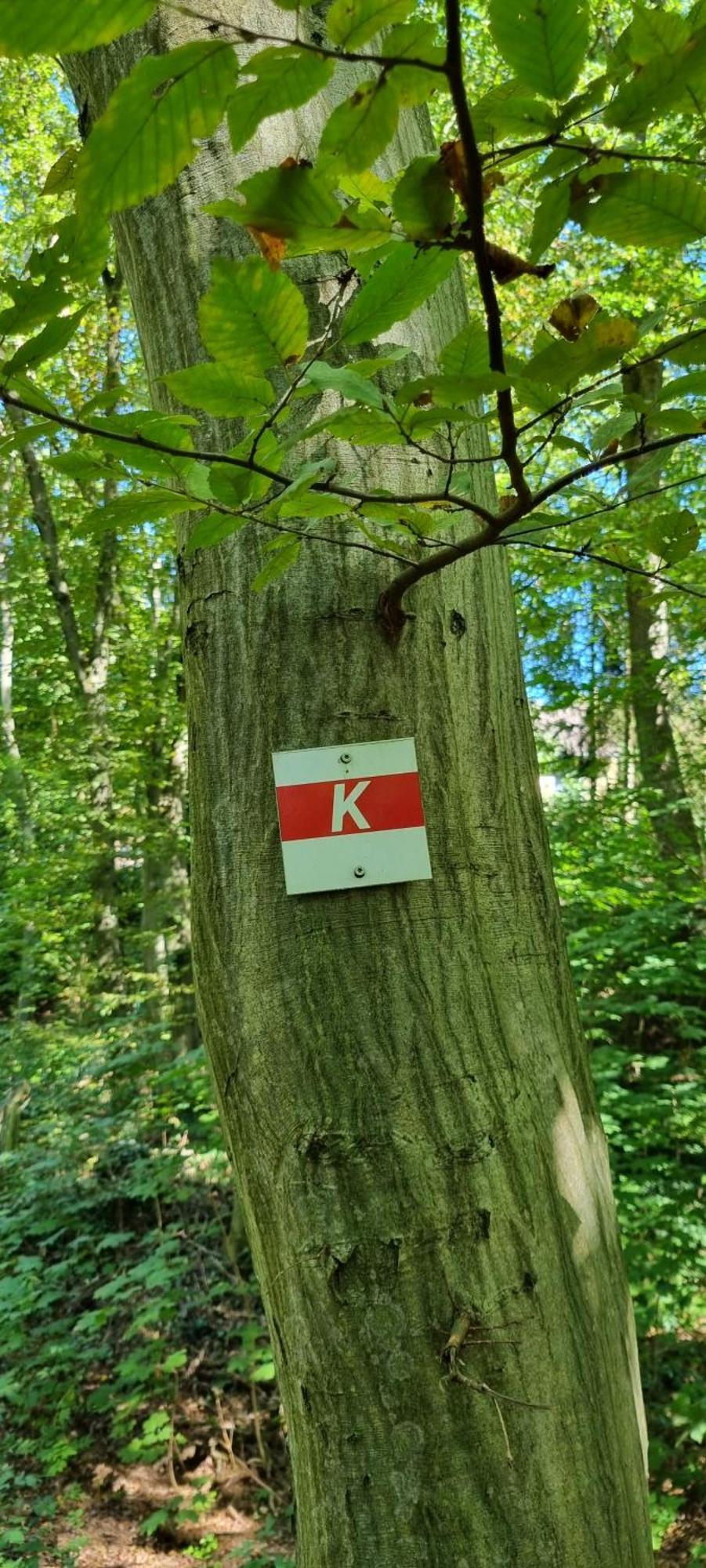 Fewo Zur Alten Tischlerei Herzberg am Harz Exterior foto