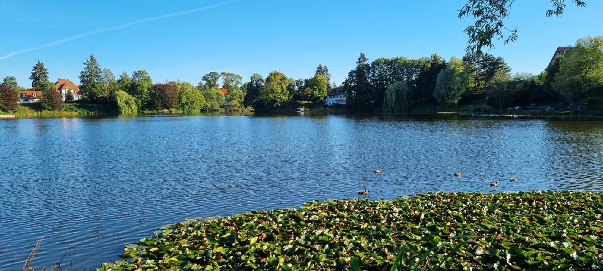 Fewo Zur Alten Tischlerei Herzberg am Harz Exterior foto